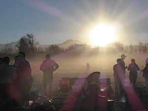 P1090873.jpg

3,468.00 KB 
4000 x 3000 
02/07/2019
